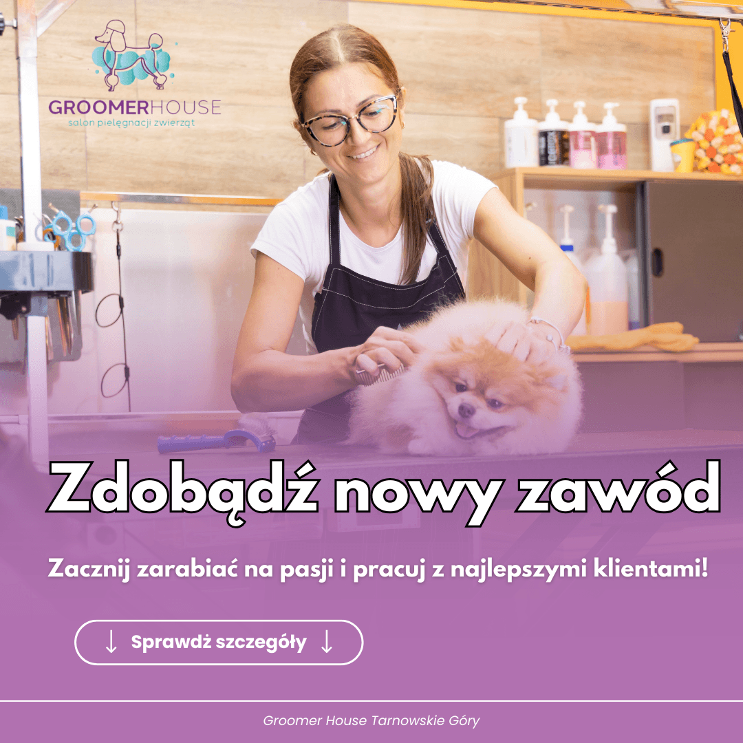 Jak Zostać Groomerem w Polsce? Kompletny Przewodnik 2026 | Groomer House